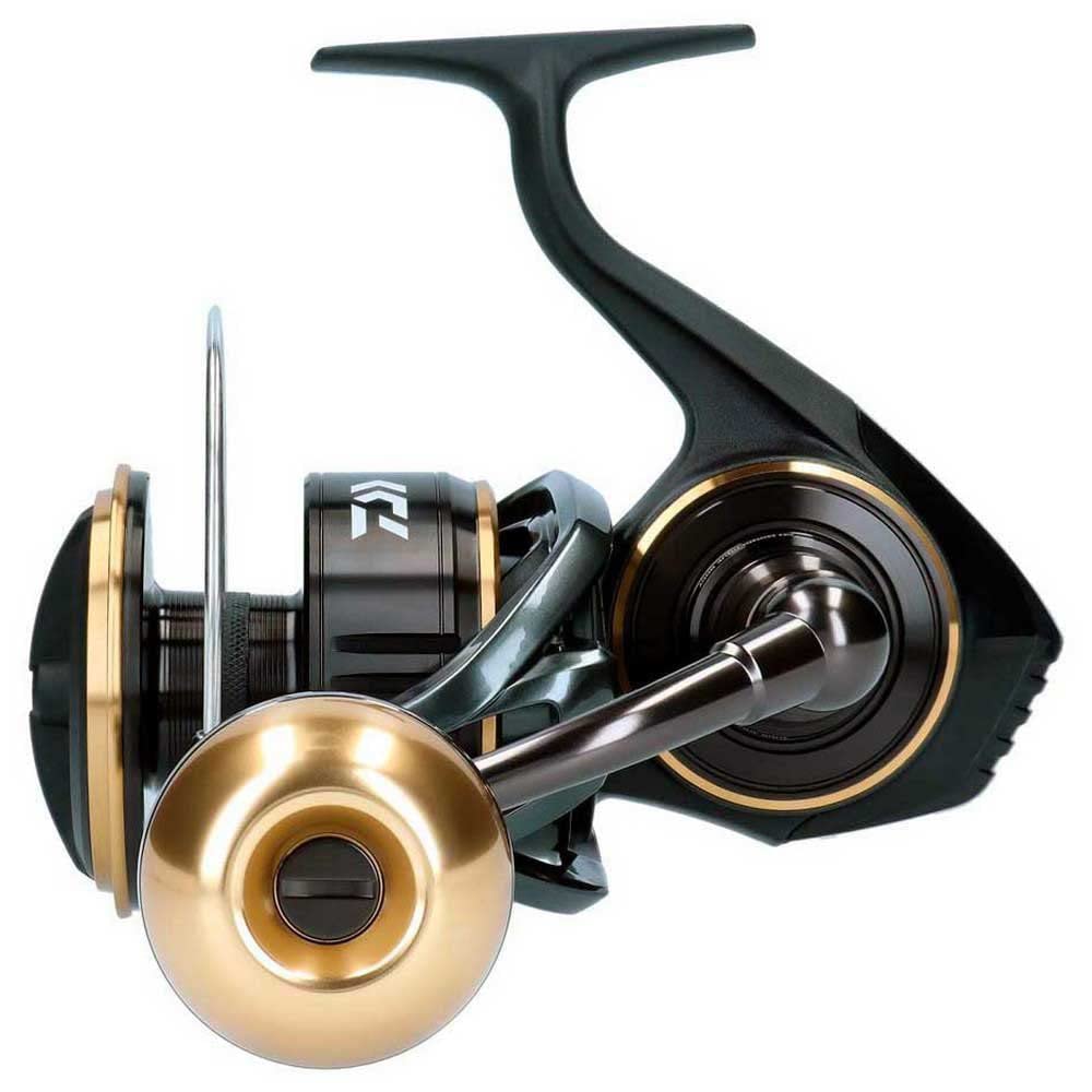 Amazon | ダイワ(DAIWA) MOULINET BG MQ 8000 H ARK | DAIWA